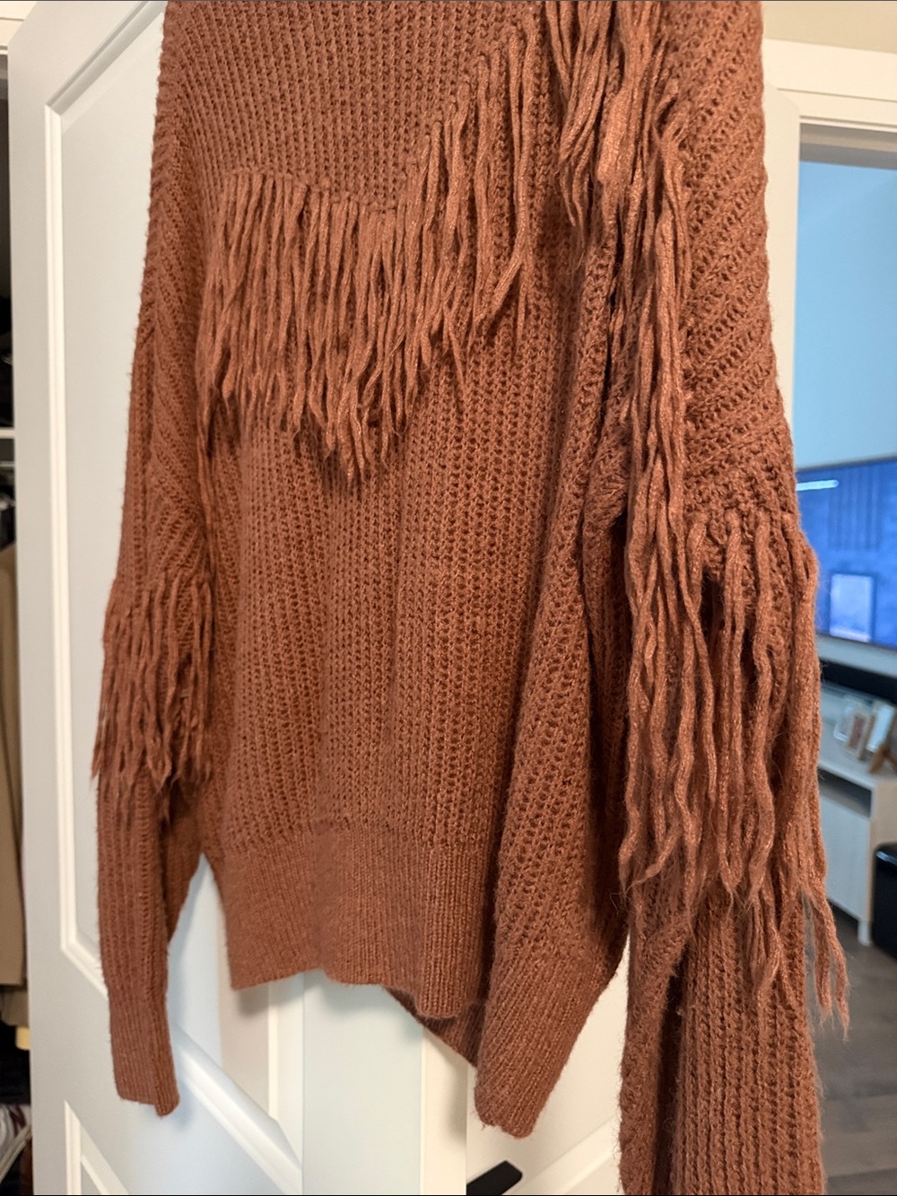 bishop + young Rust/Light Brown Rib-Knit Fringe Sweater - Picture 4 of 4